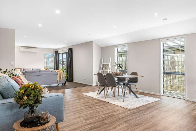 123 Infinity Drive Pegasus_3