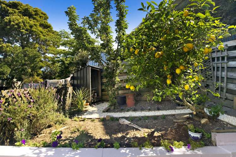 2/5 Jasper Way Washington Valley_17