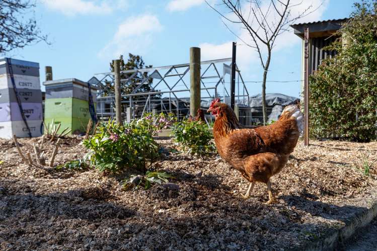 77 Lichfield Road Putaruru_27