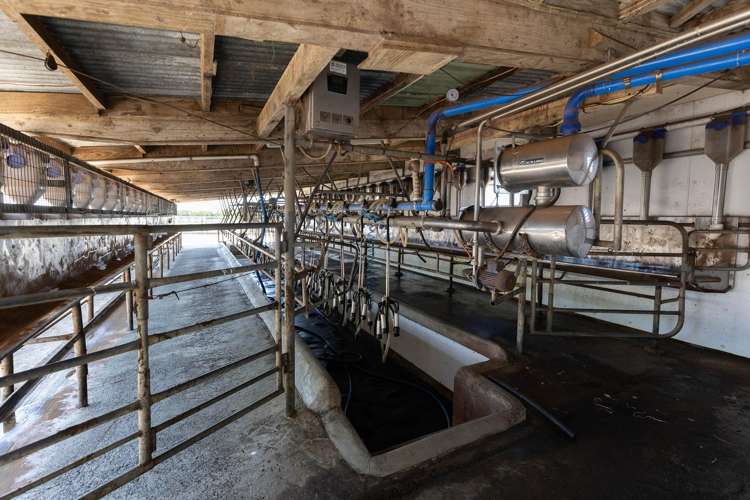 2611 Pouto Road Te Kopuru_18