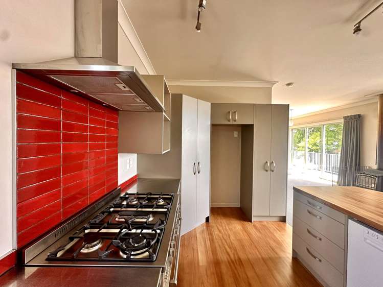 128 Abbot Street Waverley_8