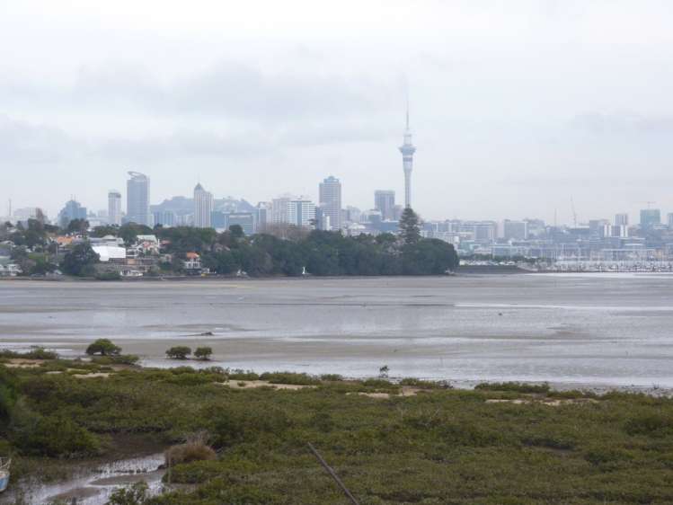 2/28 Walter Street Hauraki_0