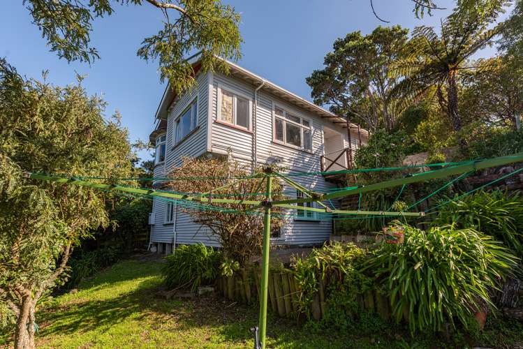 48 Mount Pleasant Road Aro Valley_20