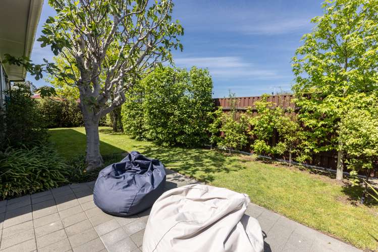 30 Plunket Street Tamatea_13