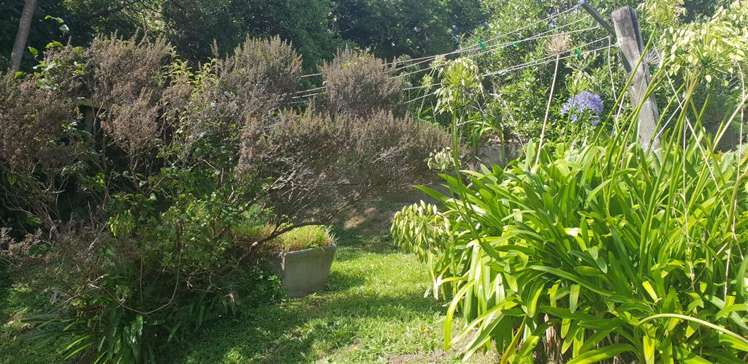 119 Volga Street Island Bay_13