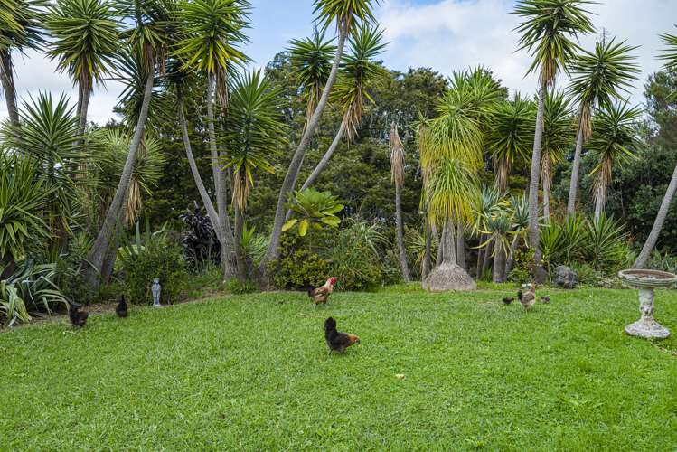 5562 State Highway 12 Arapohue_31