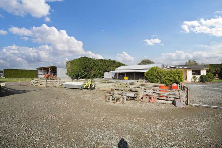 468 Lorne Dacre Road Roslyn Bush_21