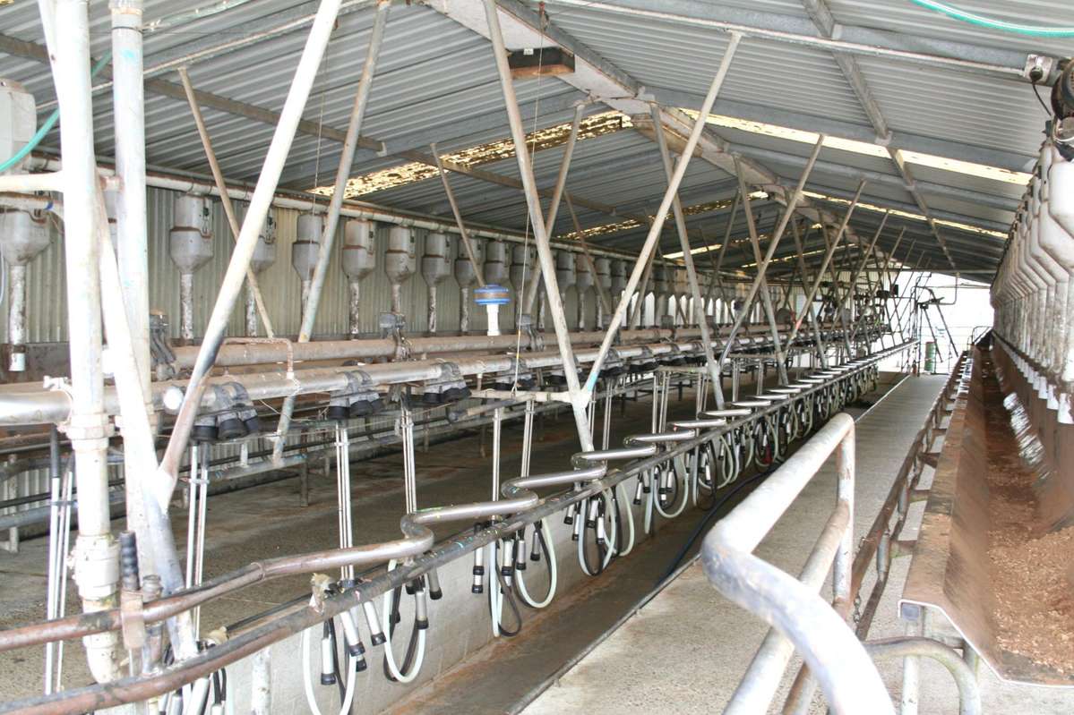 12/1212A Tower Road_1