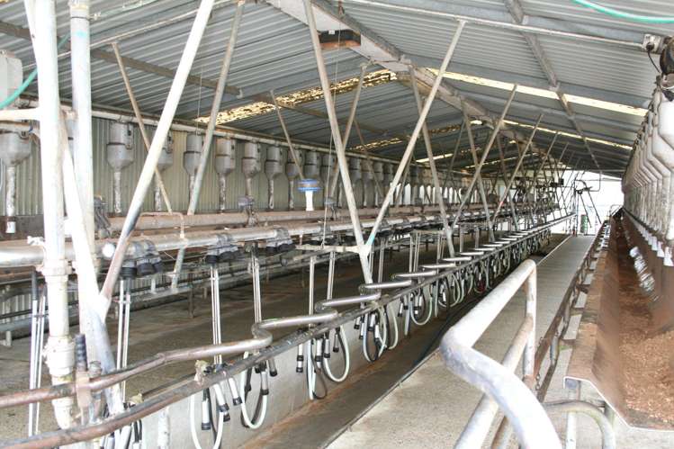 12/1212A Tower Road Matamata_5