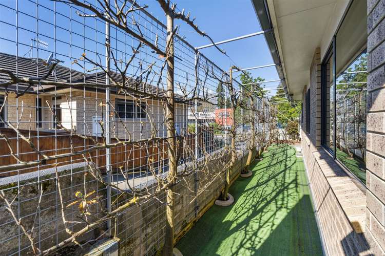 207 Fourteenth Avenue Tauranga South_10