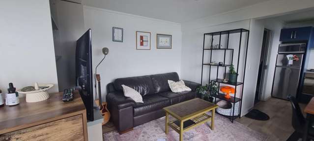 39B Robieson Street Roseneath_1
