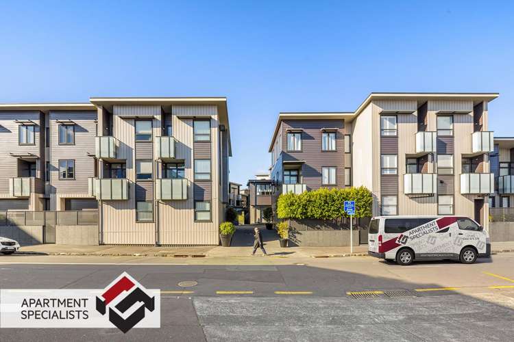 50 Harold Street Mount Eden_20