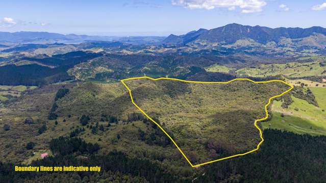 Sec 14-15 Whangape Track Road Broadwood_2