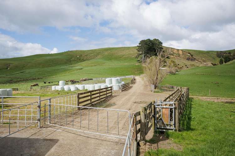 652 Tainui Road Morrinsville_9