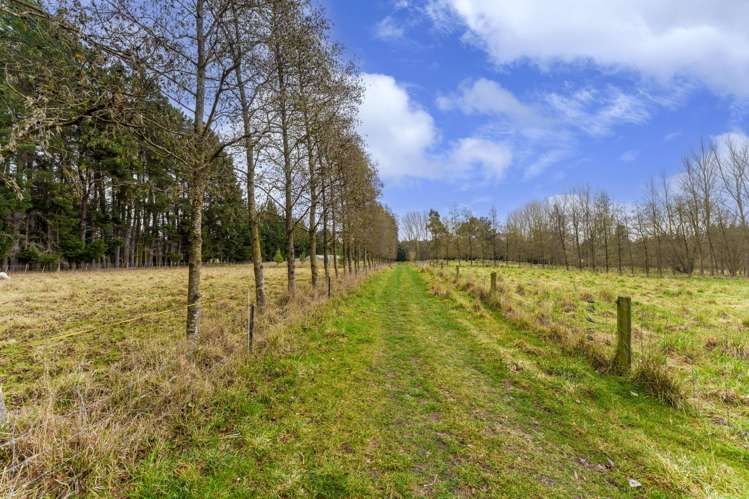 532 Leeston Road Springston_22