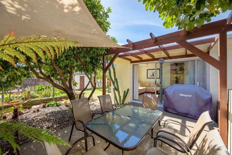 5a Manson Street Redwoodtown_15