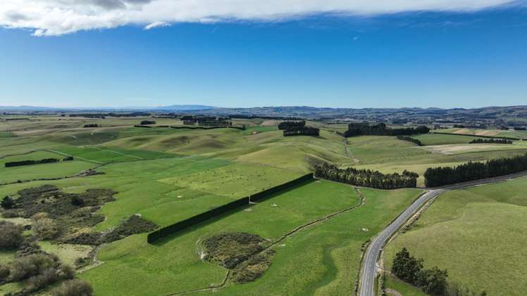 55 McGill Road Te Tipua_11