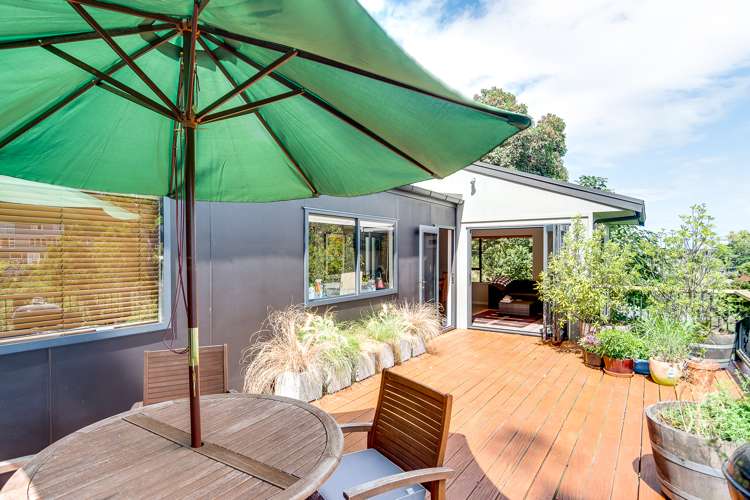 35 Lighthouse Road Bluff Hill_8