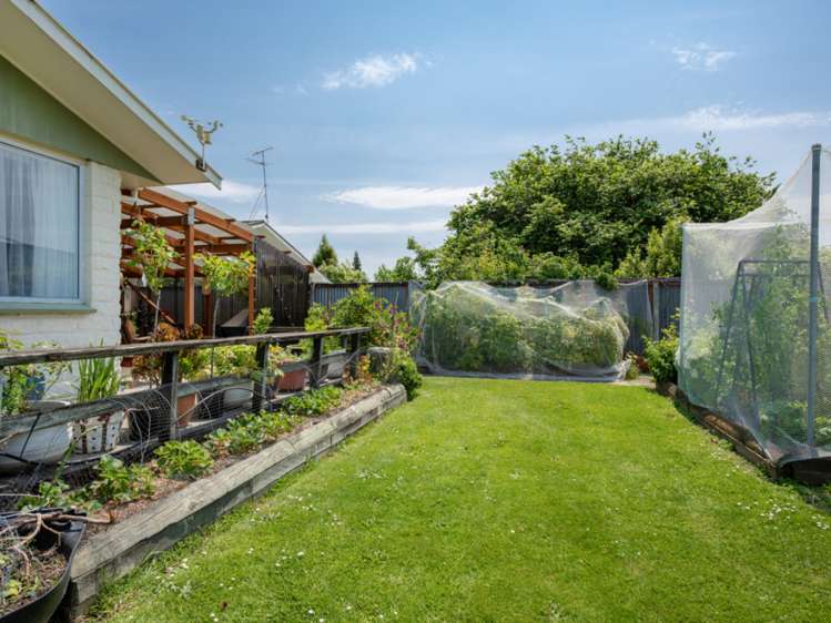 11 March Street Spring Creek_13