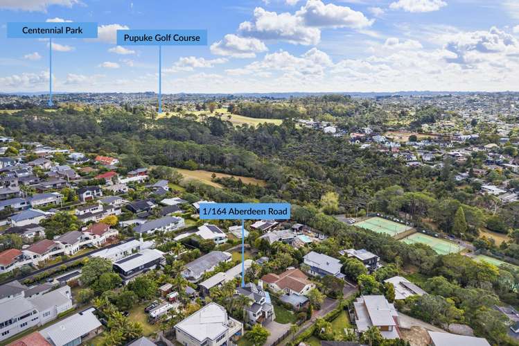 1/164 Aberdeen Road Campbells Bay_29