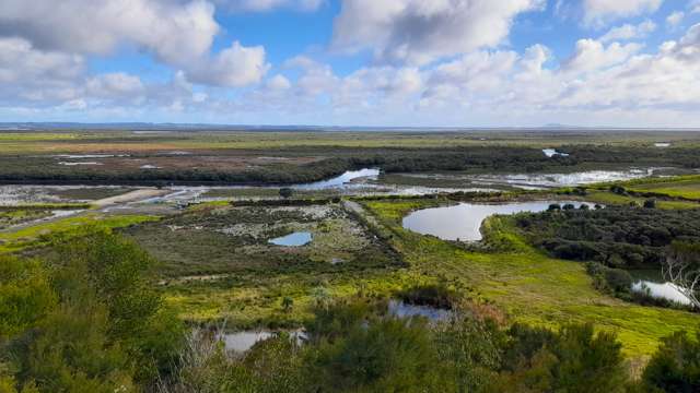 132 Pukewhai Road Kaingaroa_2