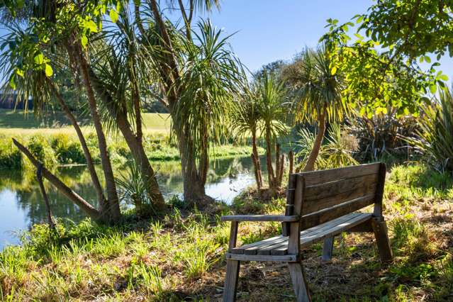 33 Park Terrace Blenheim Central_1