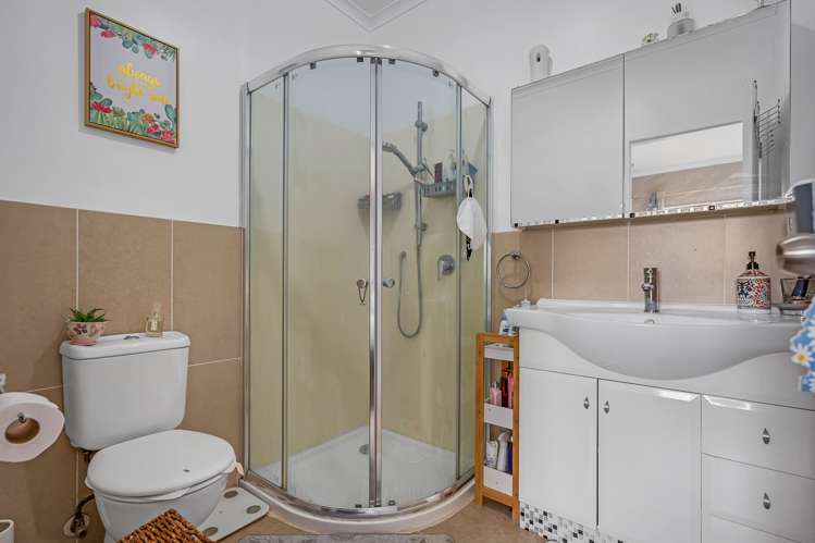 29 Triumph Road Flat Bush_16