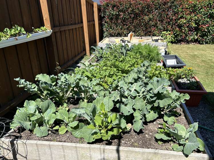 34 Lydiard Drive Rolleston_14