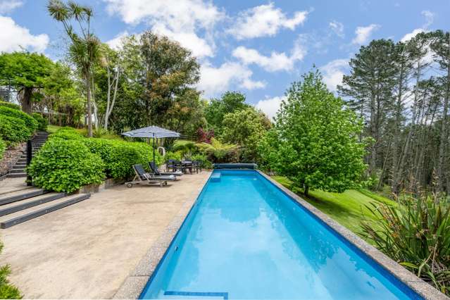 18 Ara-Kotinga Whitford_4