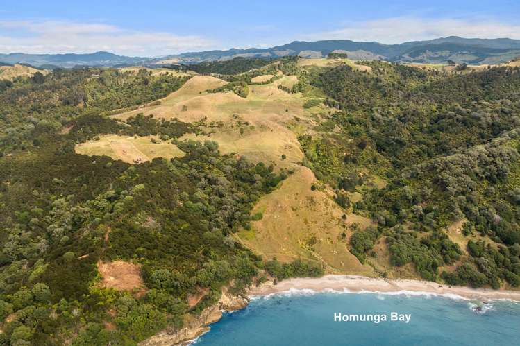 269 Ngatitangata Road Waihi_2