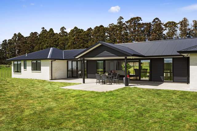 191 Whangamarino Road Te Kauwhata_1