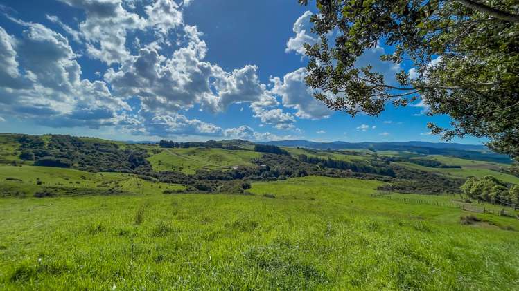 457c Findlay Road Miranda_24