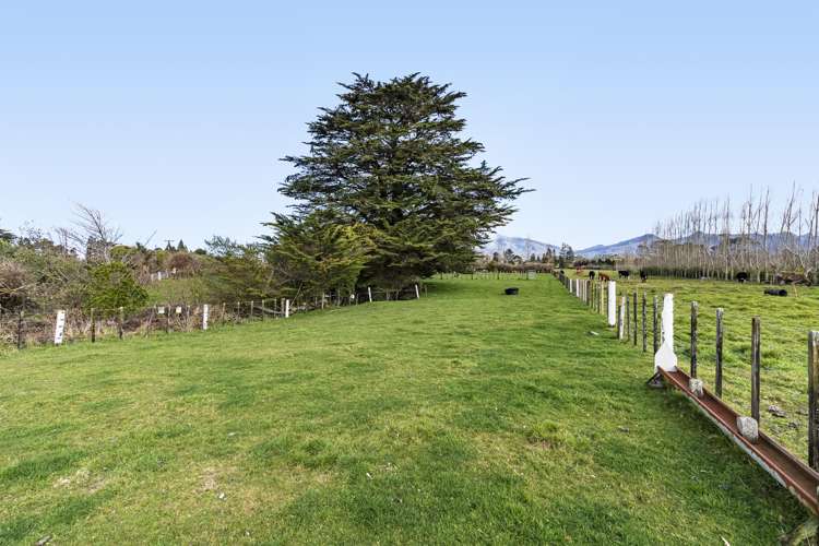 1870 Egmont Road Inglewood_29
