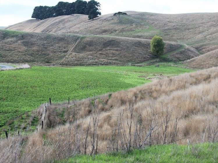 78 Bush Road Central Hawkes Bay Country_16