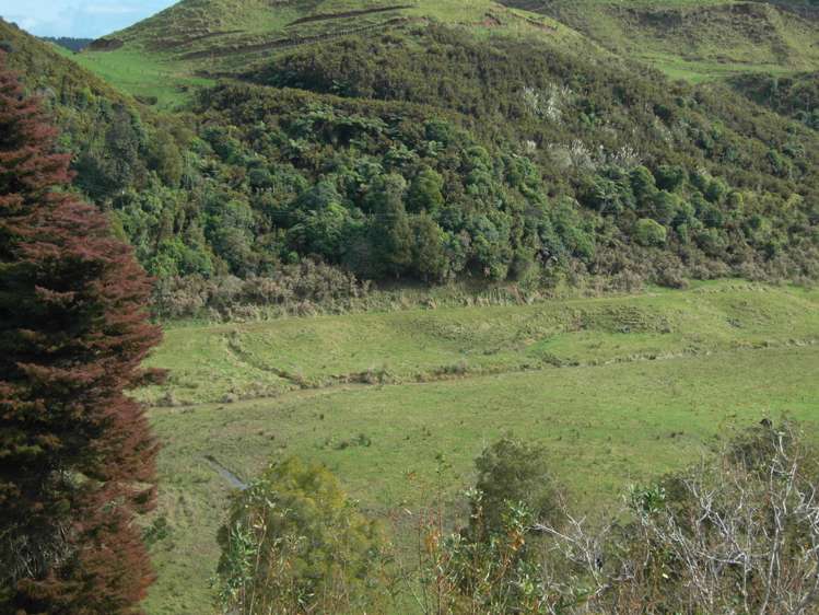 125 Te Mahoe Road Mokau_1