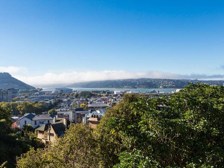 35 Heriot Row Dunedin Central_19