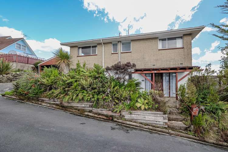 28 Hastings Street Wakari_3