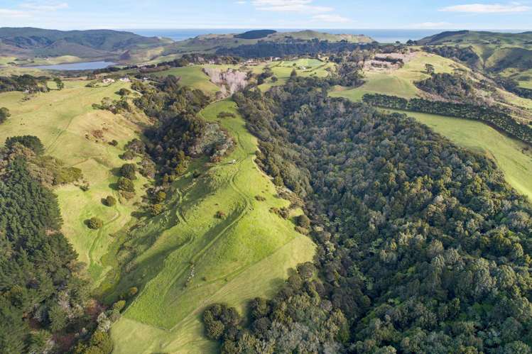 1406 Awhitu Road Pollok_3