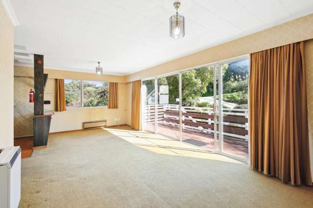 22 Wilberforce Street Miramar_1