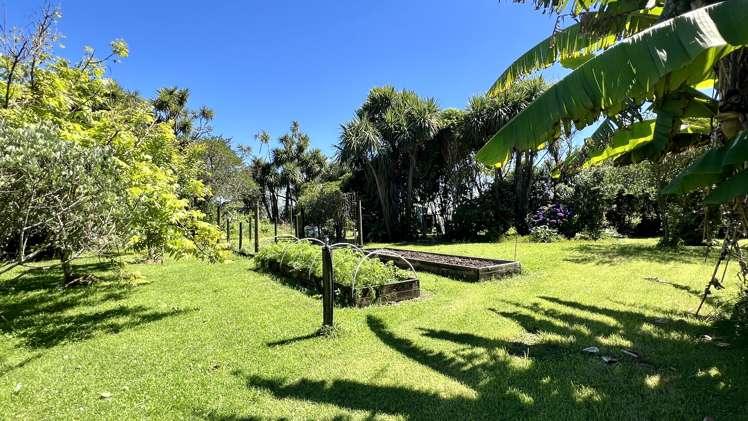 37 Nikau Road, State Highway 67 Hector_28