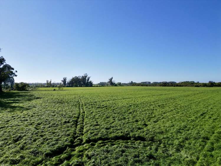 Willowbridge Road Waimate_29