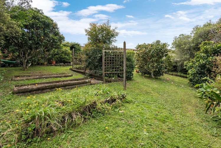 38 Rodney Street Howick_18