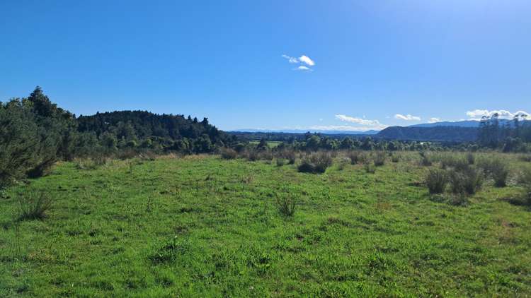 7868 Lower Buller Gorge Road Westport_13