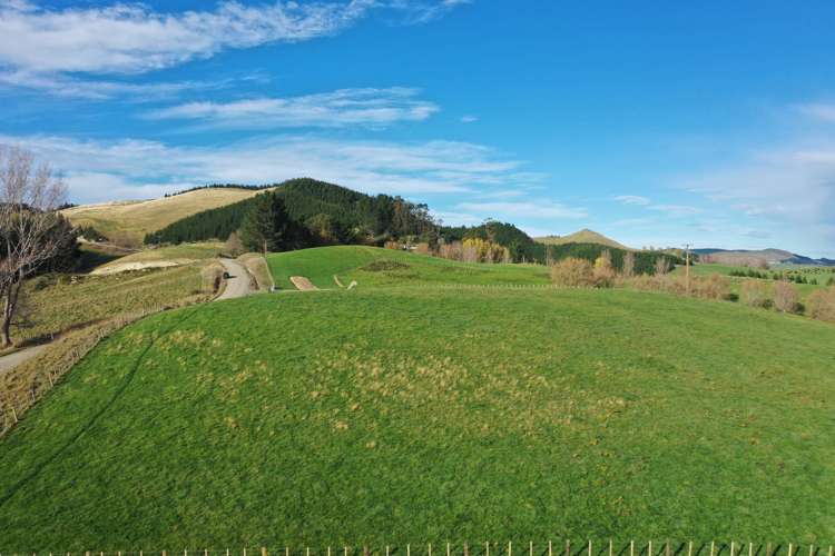 223 and 224 Peacock Road Waipukurau_3