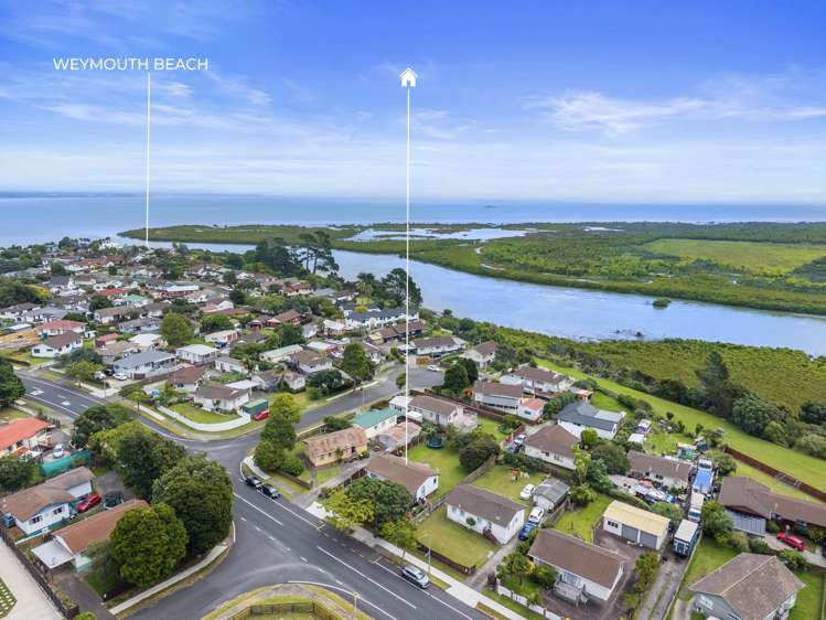 113 Finlayson Avenue Clendon Park_12