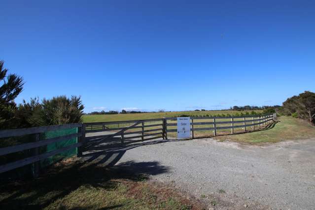 22 Ronas Place Kaingaroa_1