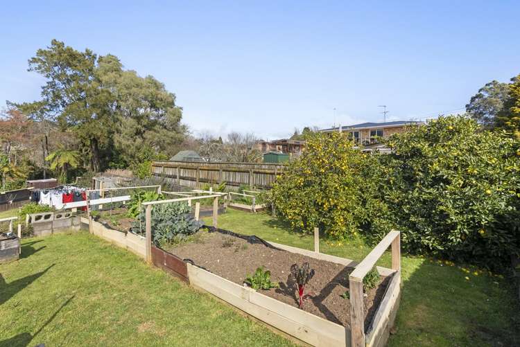 10 Hillside Crescent Westown_16