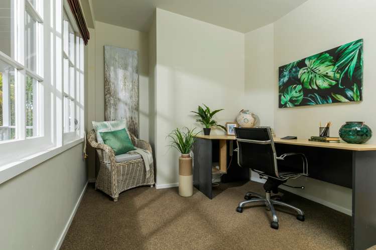 228 Lonely Track Road Dairy Flat_13