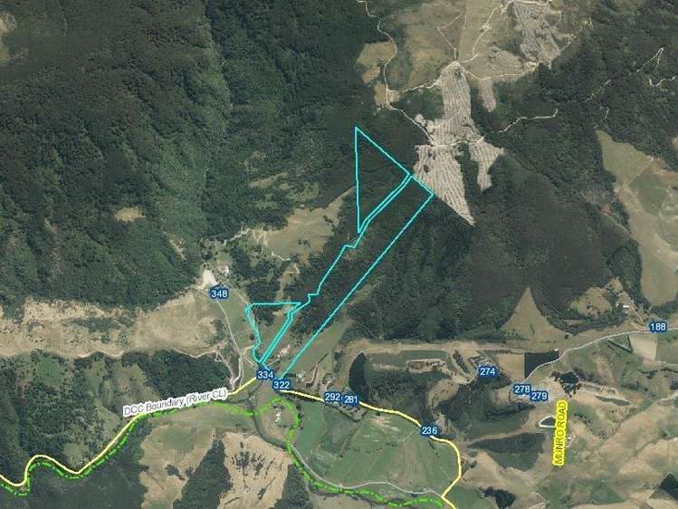 334 Waipori Falls Road Berwick_27