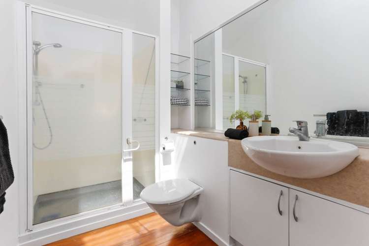 5l Cleveland Road Parnell_19